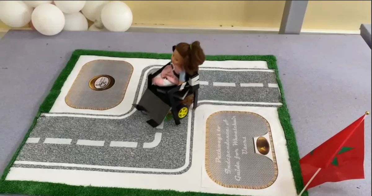 Cover for Autonomous Smart Wheelchair